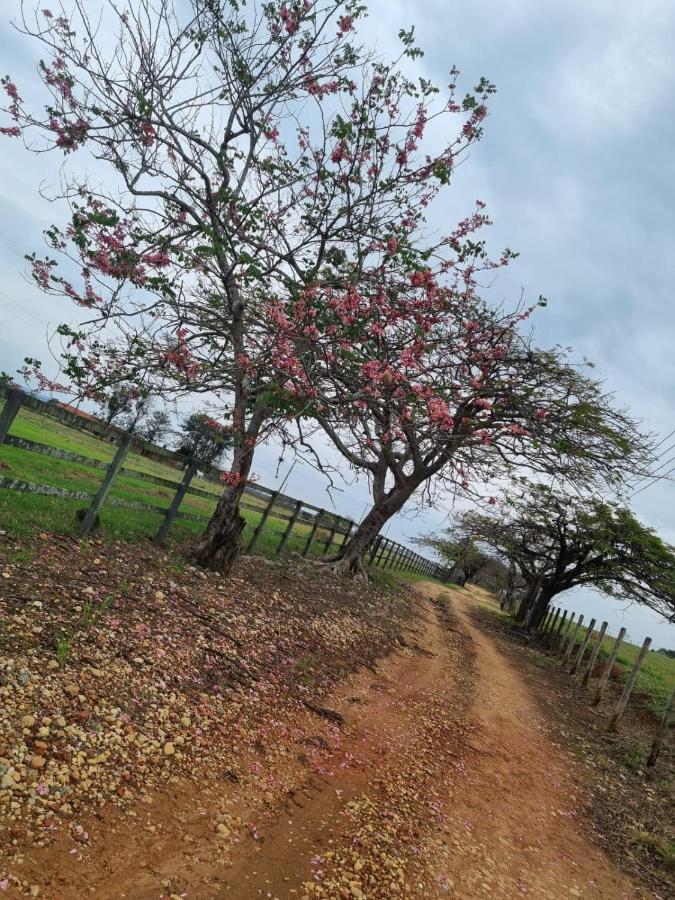 Villa Chacara Jequitiba Itu Exterior foto